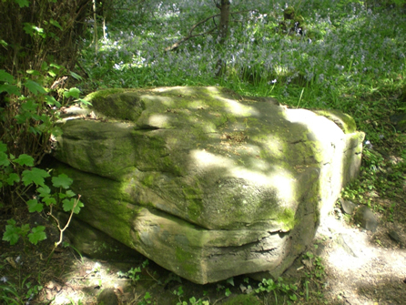 picture of stone at Bluebell Woods